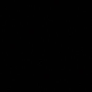 Meet your Posher, Ray